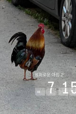 김*준님의 후기