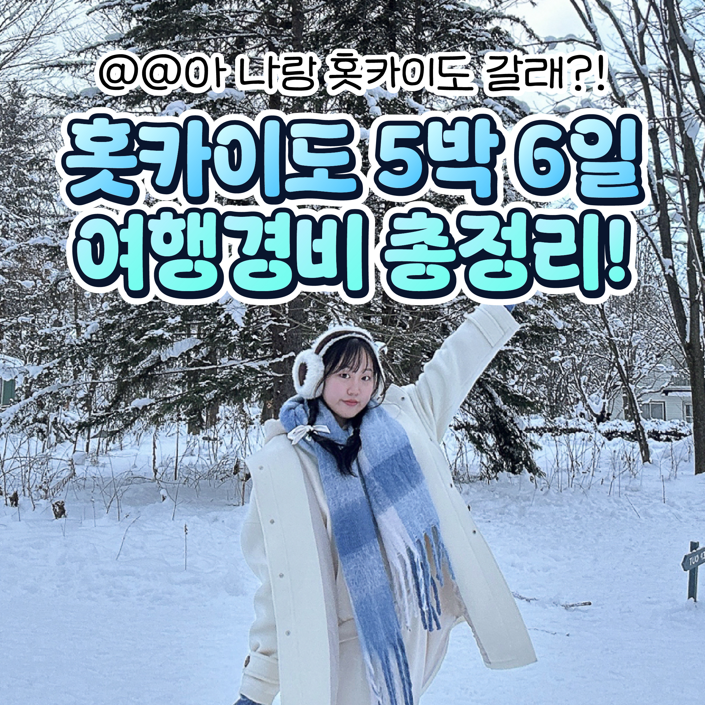 훗카이도 여행 경비, 5박 6일 삿포로 하코다테 오타루 북해도(환전, 항공권, 식비, 교통비, 입장료 등)